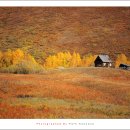 언덕위에 작은 민박 이미지