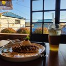 밍밍켄넬 | [포항 카페] 카멜리아 인 구룡포 일본인가옥거리 카페 애견동반 가능 내돈내산