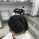 시스템엘르 이미지