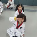 베스트 연세 태권도 | 속초태권도 강원 속초에서 애정 넘치는 한눈 팔지 않는 교육, 베스트연세태권도