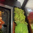 오늘한점 이미지