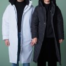 더스 이미지