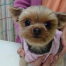 구미옥계동물병원 이미지