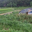 왕성농장 이미지