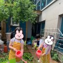 신암유치원 이미지