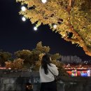 가을에 즐길만한 경남 축제 [진주 남강유등축제] 후기