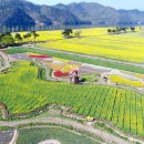 동포옛길 이미지