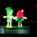 딸리 이미지