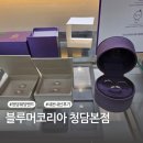 디자인코리아뮤지엄 | [내돈내산] 청담 블루머코리아 웨딩밴드 후기 (가격,상담)