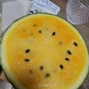 동해화이트치과의원 이미지