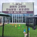 오독안심분양센터 강아지분양 고양이분양 광주점 | 오독안심분양센터 강아지분양 고양이분양 광주점 정말 만족스러웠던 분양 경험