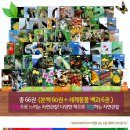 아이락 안경 | 서평이벤트