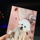 브이아이피미용실