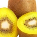 아달달농산 이미지