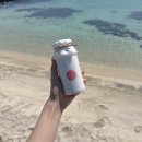 양수로 | 제주 카페 창업 후기, 양도양수로 시작한 이야기