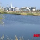 동해시-31 이미지
