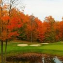 에프와이에스 골프 이미지