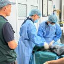 삼양 동물병원 | &#39;벌써 12번째&#39; 제주대 수의대 몽골 울란바토르에서 동물의료봉사!