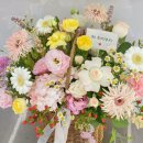 스노우폭스제주 이미지