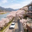 로드웨이129 | 섬진강 벚꽃 드라이브 및 주변 대형카페 추천, 구례 하동 봄 코스 한 번에 정리