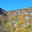 밀 이미지