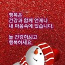 모락 이미지