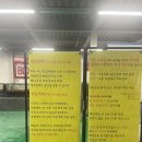 싱싱함이 톡톡! 인심까지 후한 구룡포 먹방 여행! (feat. 구룡포대게직판장, 회, 할매식당갈치찌개)