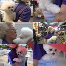 세례농장 이미지