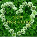 요리 기타사진 이미지