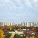 목동동로(남측) 이미지