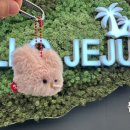 [여행/제주] 3월 제주도 서쪽여행 3박4일 유채꽃 구경 극P의 얼렁뚱땅 여행기 - 1,2일차