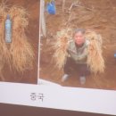 이동섭농장 이미지