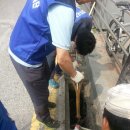 빙그레앞 이미지