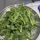 미나리 우리삼겹(영등포역점) | 인덕원맛집 &lt;여의도 미나리삼겹&gt;인덕원점 회식장소 추천