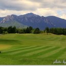 본프라자 이미지