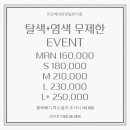 모모핑크헤어