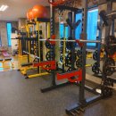 노익스큐즈 이미지