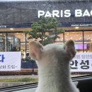 삼척동물병원 네이버블로그