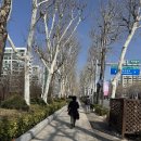 국제라지에타 | 강남배드민턴레슨 | 안세영 이용대 선수도 방문한 P.B.R.피비알 배린이 탈출을 위한 체계적인 첫 레슨 후기