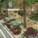 민지네 펜션 이미지