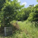 소마일농장 이미지