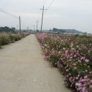 황소농장 이미지