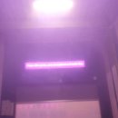 고양 원흥 삼송 노터치 자동세차 [오토 스테이 고양 뉴캐슬] 내돈내산 방문 후기