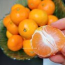 성훈농장 이미지