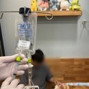 메디컬월드뉴스 | 강아지 줄기세포 효과, 어디까지 가능할까요?