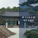 송광사&벚꽃길 | [여행](국가유산) 완주 봄에는 벚꽃이 유명한 송광사 대웅전 여행기