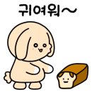 코코지 하우스