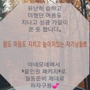 테라피뷰티샵피부미용실 이미지