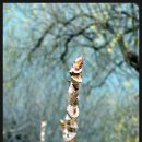 새말저수지 이미지