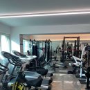 머슬메이드 이미지